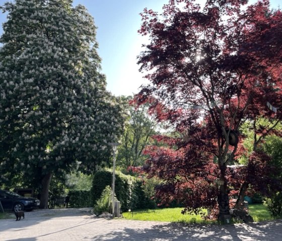 Hofbereich Hofbereich