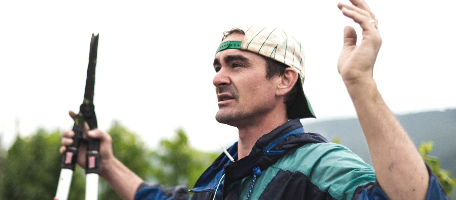 Weingut Madame Flöck, © Weingut Madame Flöck Weingut Madame Flöck, © Weingut Madame Flöck