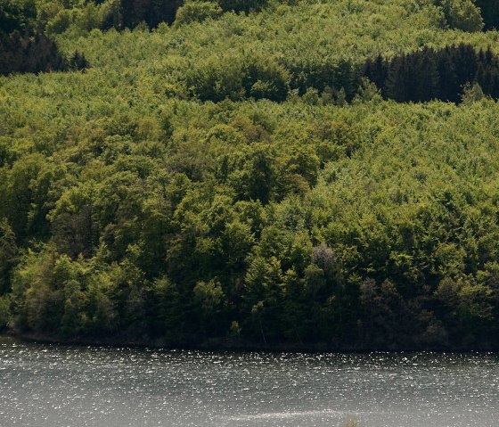 kleine Insel im See, © A. Baumbach kleine Insel im See, © A. Baumbach