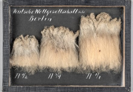 Wollproben der Deutschen Wollgesellschaft, 1919, © LVR-Industriemuseum Wollproben der Deutschen Wollgesellschaft, 1919, © LVR-Industriemuseum