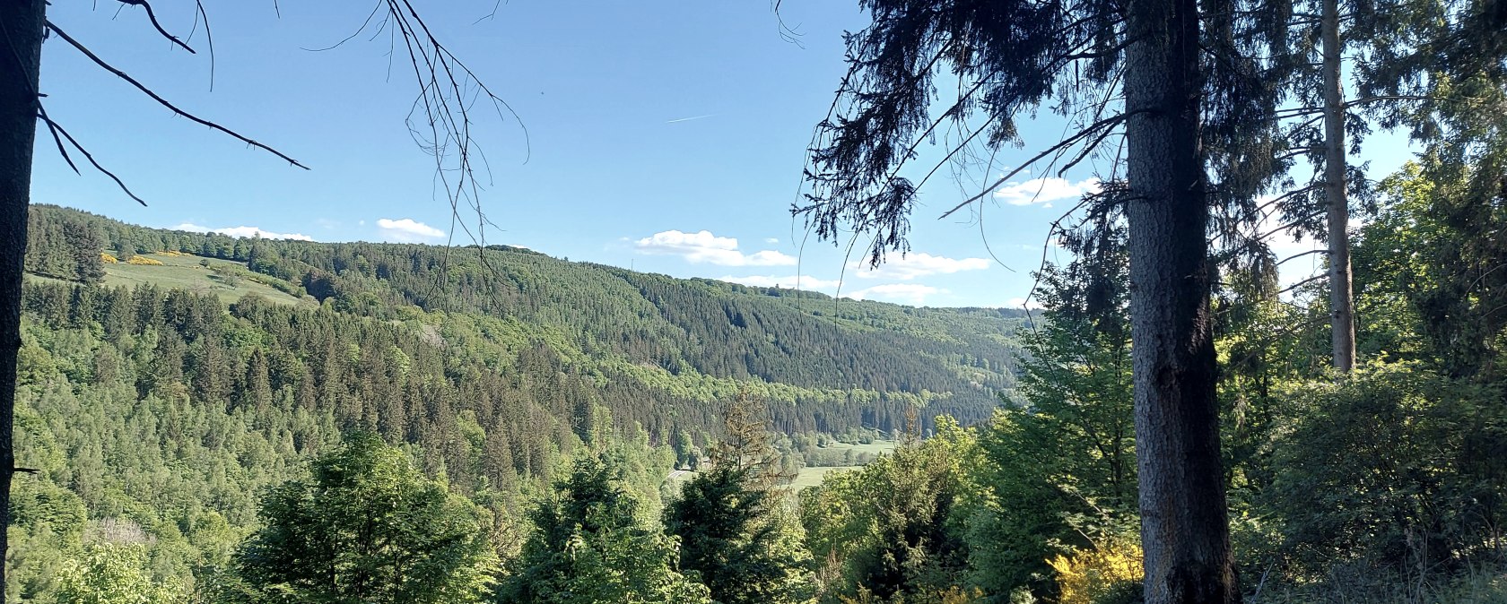 Ausblick Rurtal grün (co) Theißen-Braun Ausblick Rurtal grün (co) Theißen-Braun