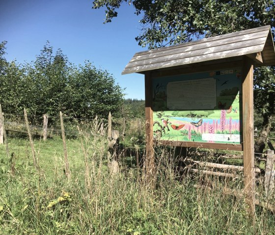 schmetterlinge-buchholz, © @hotel-schroeder.be schmetterlinge-buchholz, © @hotel-schroeder.be