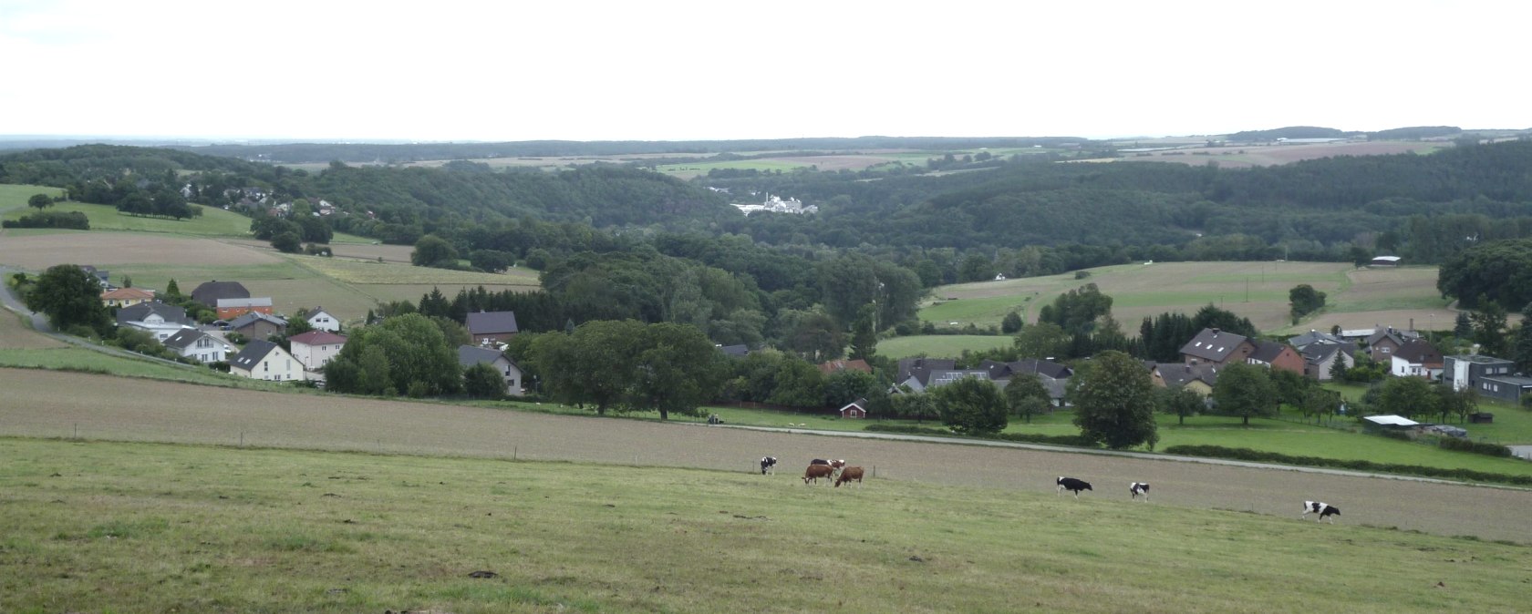Eifel-Blick "Schafsbenden", © Rureifel-Tourismus e.V. Eifel-Blick "Schafsbenden", © Rureifel-Tourismus e.V.