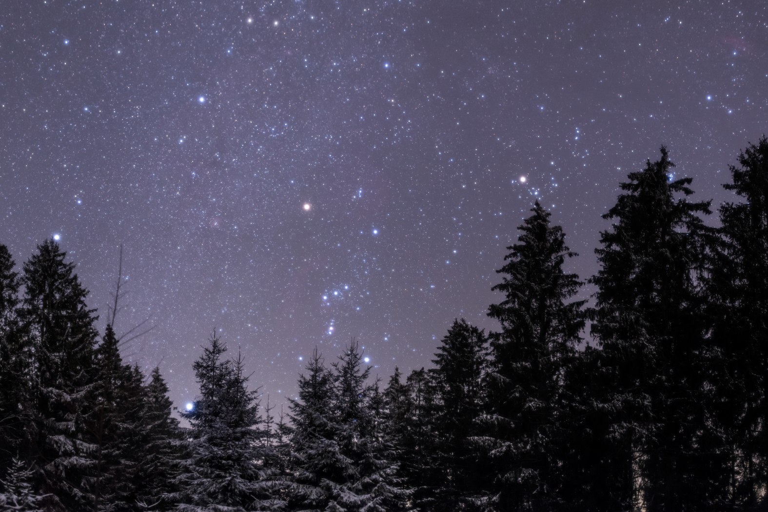 Lichte Hardt, © Bernd Pröschold Lichte Hardt, © Bernd Pröschold