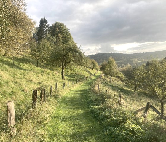 IMG_Kronenburg IMG_Kronenburg