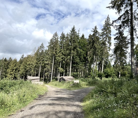 Entlang der Tour, © Monschauer Land Touristik e.V. Entlang der Tour, © Monschauer Land Touristik e.V.