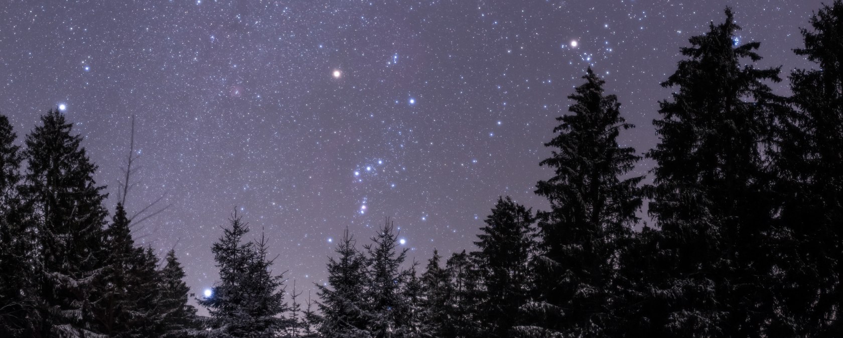 Lichte Hardt, © Bernd Pröschold Lichte Hardt, © Bernd Pröschold