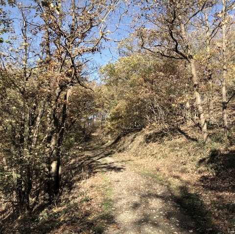 Wanderung Nr. 68, © Rureifel-Tourismus e.V. Wanderung Nr. 68, © Rureifel-Tourismus e.V.