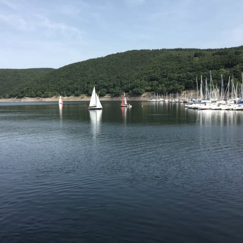 Am Rursee, © Eifel Tourismus GmbH Am Rursee, © Eifel Tourismus GmbH