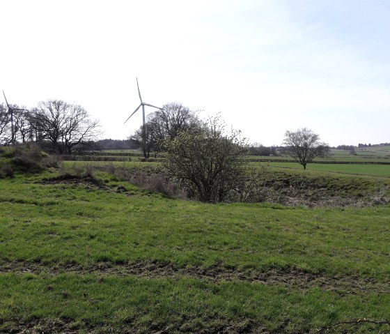 Auf dem Wanderweg, © Jens Mieckley Auf dem Wanderweg, © Jens Mieckley
