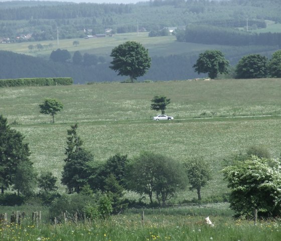 Aussicht2, © Nordeifel Tourismus GmbH & Gästehaus Jütten Aussicht2, © Nordeifel Tourismus GmbH & Gästehaus Jütten