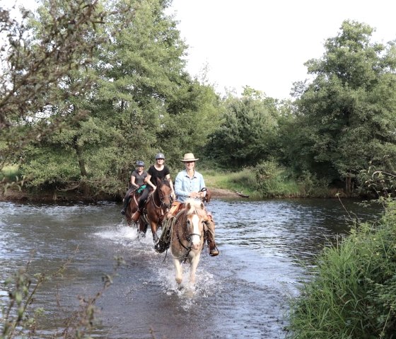 Horseback Riding Through the Rur Region, © Natürlich zu Pferd Horseback Riding Through the Rur Region, © Natürlich zu Pferd