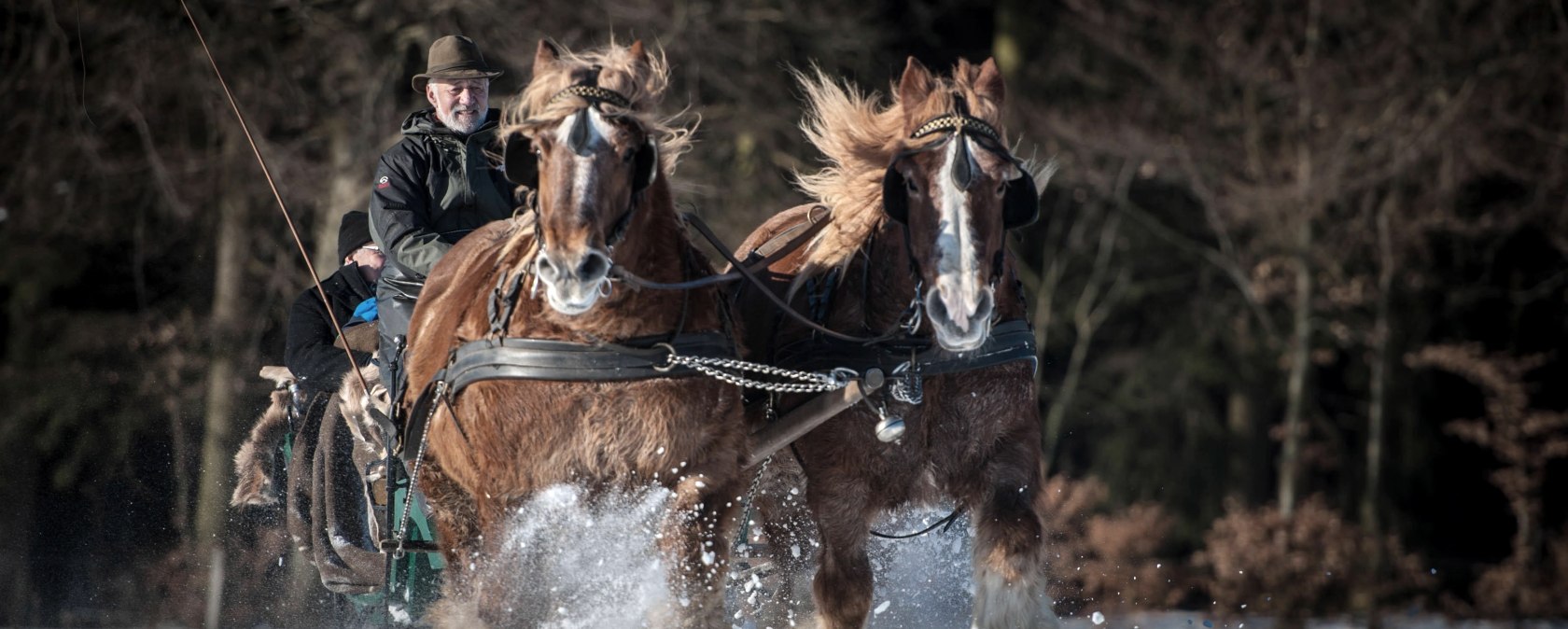 Bauershof, © Akim-Tierfotografie Bauershof, © Akim-Tierfotografie