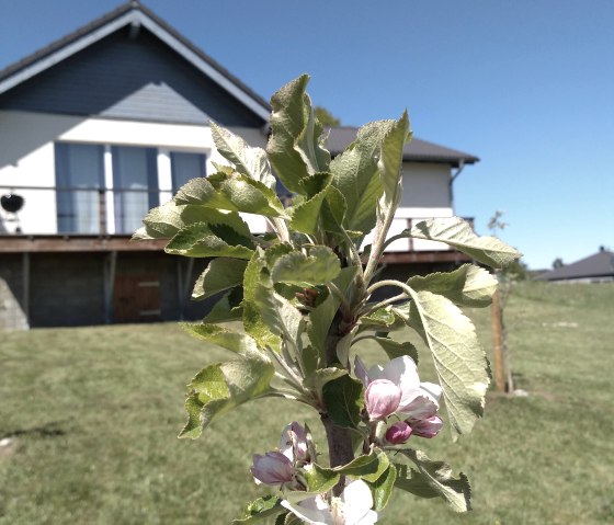 IMG_20200506_142600320 IMG_20200506_142600320