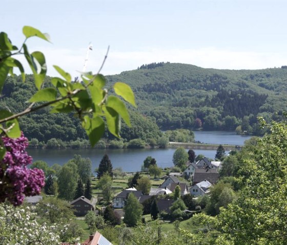 Gartenblick auf Rursee Gartenblick auf Rursee