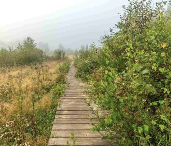 Sistig-Krekeler Heide, © Paul Meixner Sistig-Krekeler Heide, © Paul Meixner