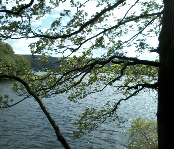 Rursee Rursee