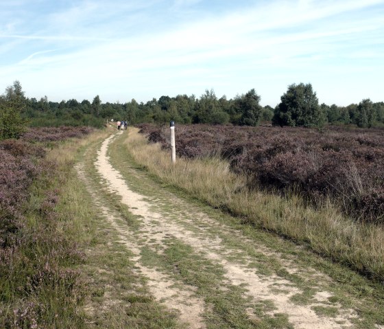 Best hiking weather in the Drover Heath, © Gemeinde Kreuzau Best hiking weather in the Drover Heath, © Gemeinde Kreuzau