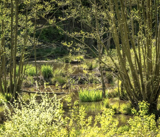 Omerbachtal in Stolberg, © Kupferstadt Stolberg, Dominik Ketz Omerbachtal in Stolberg, © Kupferstadt Stolberg, Dominik Ketz