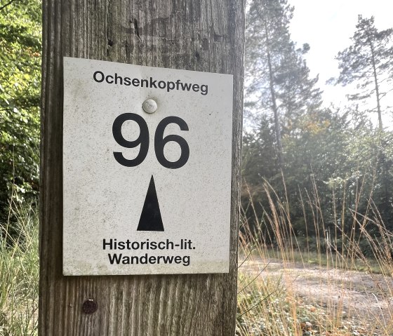 Wegbeschilderung, © Rureifel-Tourismus e.V., Michelle Wiesen Wegbeschilderung, © Rureifel-Tourismus e.V., Michelle Wiesen