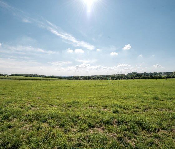 Pasture area, © some.oner Pasture area, © some.oner