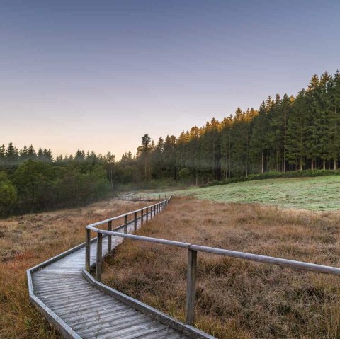 Moorlandschaft, © Paul Meixner Moorlandschaft, © Paul Meixner