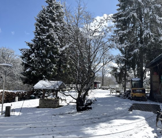 Winterimpressionen Winterimpressionen