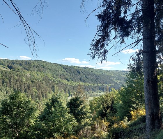 Ausblick Rurtal grün (co) Theißen-Braun Ausblick Rurtal grün (co) Theißen-Braun
