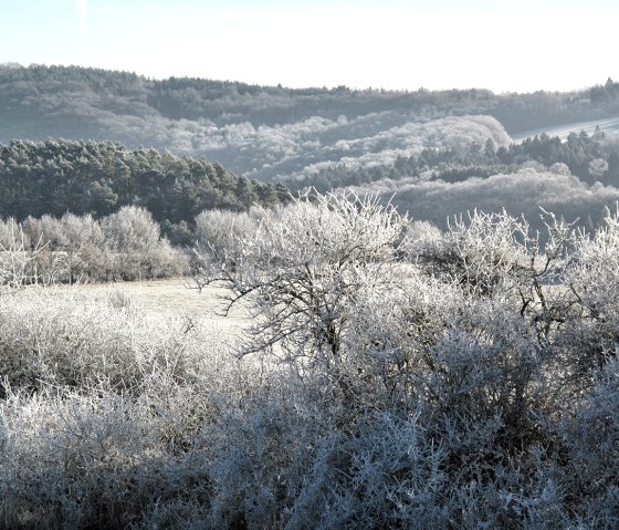 Winterlandschaft_2, © Nordeifel Tourismus GmbH & Zum Goldenen Schaf Winterlandschaft_2, © Nordeifel Tourismus GmbH & Zum Goldenen Schaf
