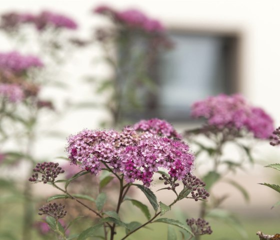 Aussen_Detail_1, © Stefanie Laville & Nordeifel Tourismus GmbH Aussen_Detail_1, © Stefanie Laville & Nordeifel Tourismus GmbH