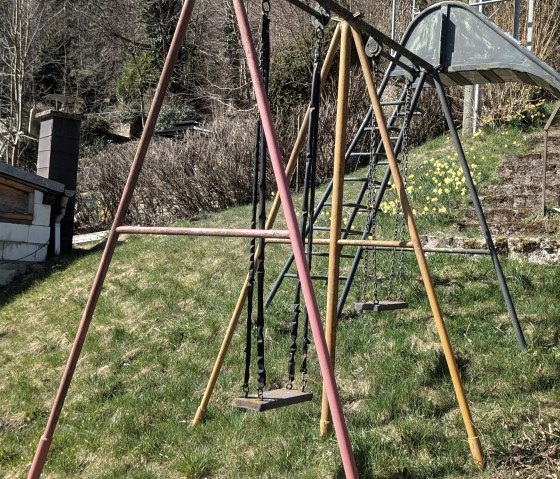 PXL_20250403_094417766 PXL_20250403_094417766