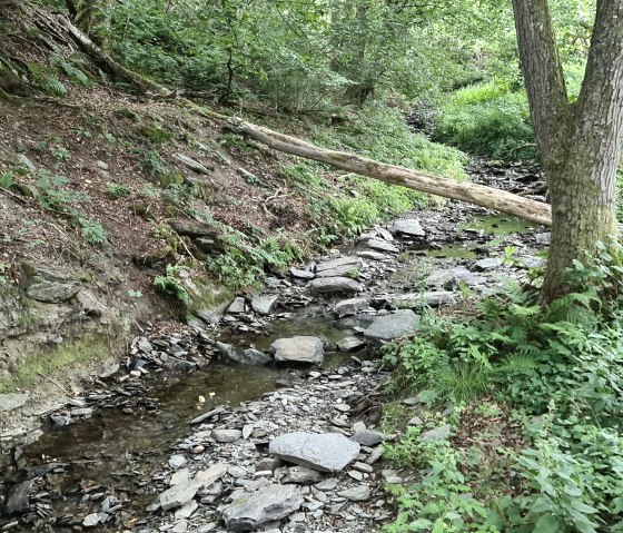 lively murmuring Richelsbach lively murmuring Richelsbach