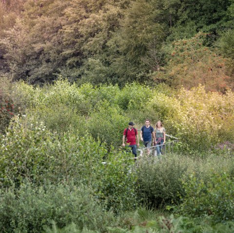 Soil nature trail "Todtenbruch", © Kreis Düren, Dennis Stratmann Soil nature trail "Todtenbruch", © Kreis Düren, Dennis Stratmann