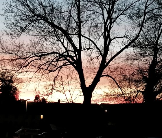 IMG-20200415-WA0009, &copy; Nordeifel Tourismus GmbH & Ferienwohnung Absolut Eifel