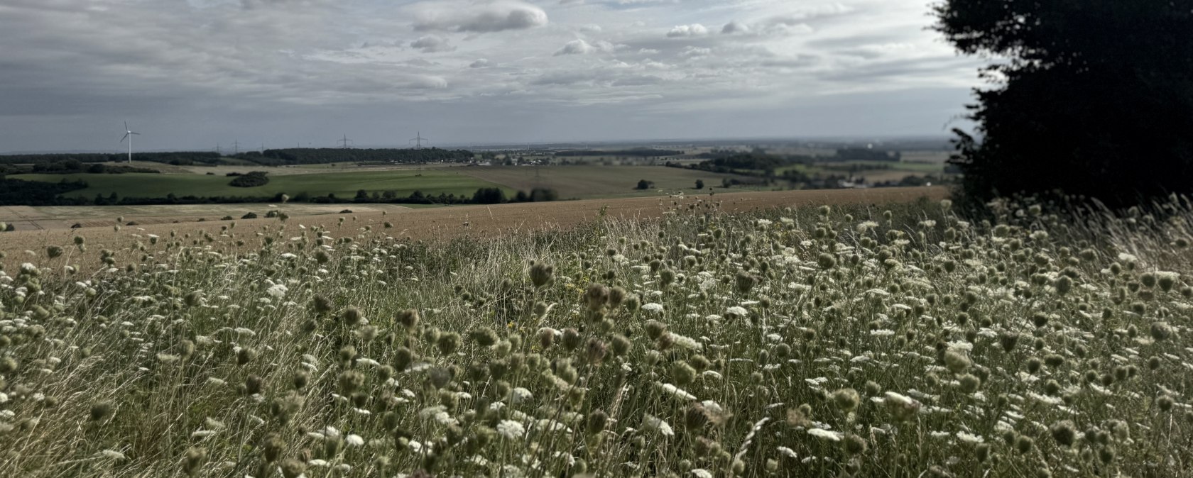 Aussicht, &copy; Rureifel-Tourismus e.V., Dennis Winands