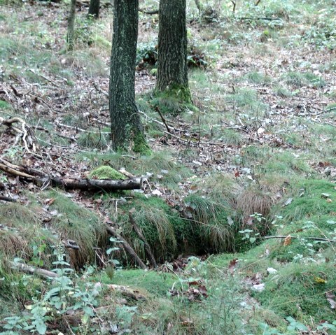 Old trench by the wayside, &copy; Bert van London