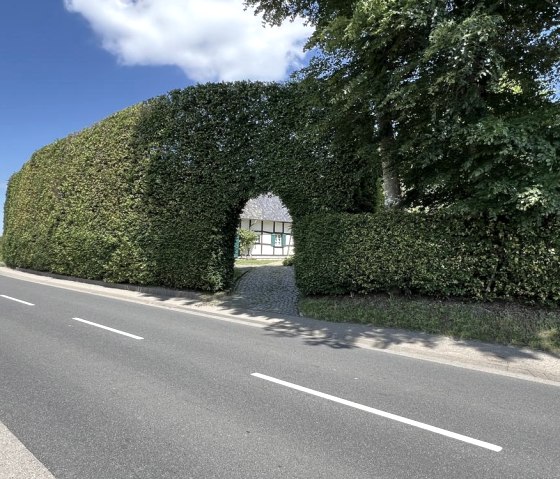 37c263c3-840a-49f2-bd16-f1ae89aa45fa