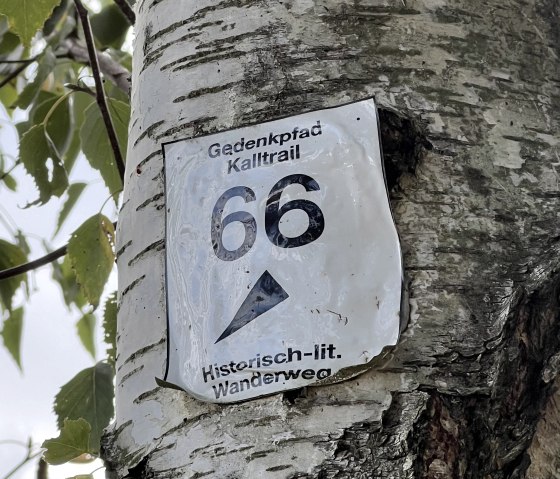 Wegbeschilderung, &copy; Rureifel-Tourismus e.V., Michelle Wiesen