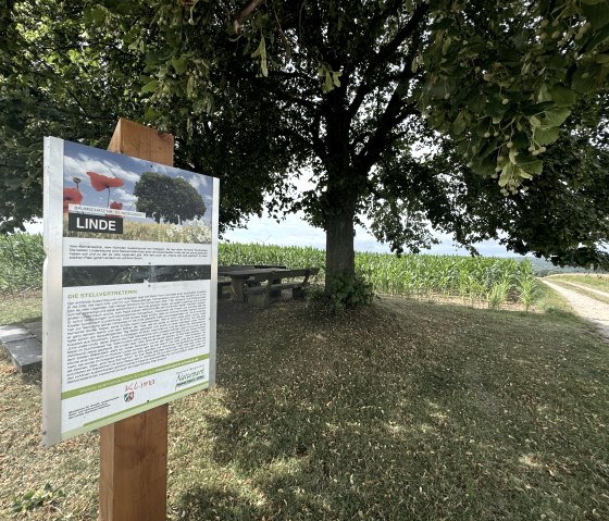 IMG_7767, &copy; Rureifel-Tourismus e.V., Dennis Winands