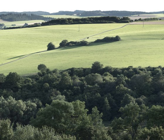Landschaft_3, © Nordeifel Tourismus GmbH & Zum Goldenen Schaf 2