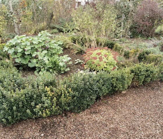 Museumgarten drau&szlig;en