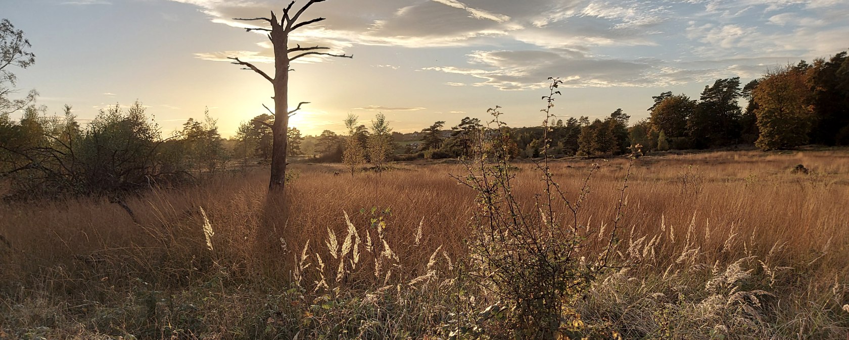 Abendstimmung Oktober (co) Theißen-Braun