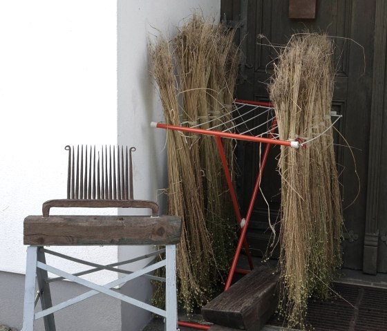Flachs, &copy; Barbara Mey