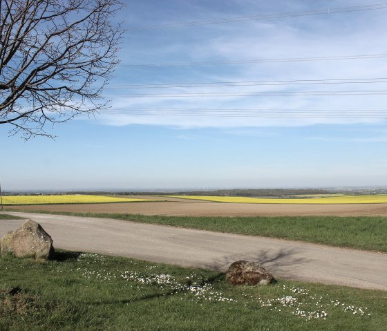 B&ouml;rdelandschaft in Vlatten