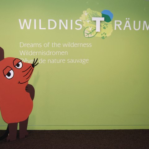 Die Maus im Nationalparkzentrum, © Nationalparkzentrum Eifel