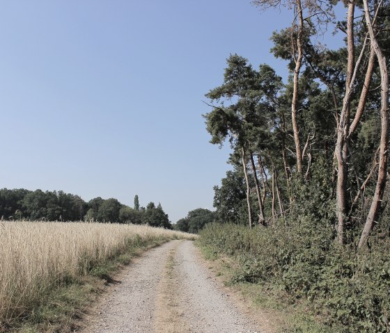 Der Wanderweg, &copy; Rureifel-Tourismus e.V.