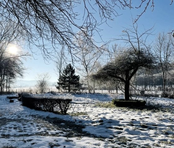 Winter_Garten