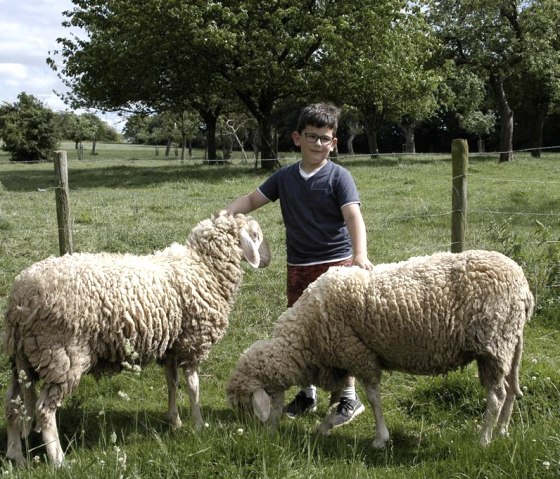 DSC_0289, &copy; Nordeifel Tourismus GmbH & P&uuml;nderhof