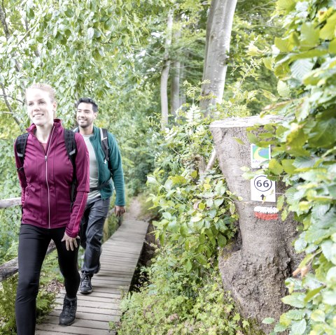 66 - Unterwegs in M&uuml;tzenich, &copy; Eifel-Tourismus GmbH, A. R&ouml;ser shapefruit AG