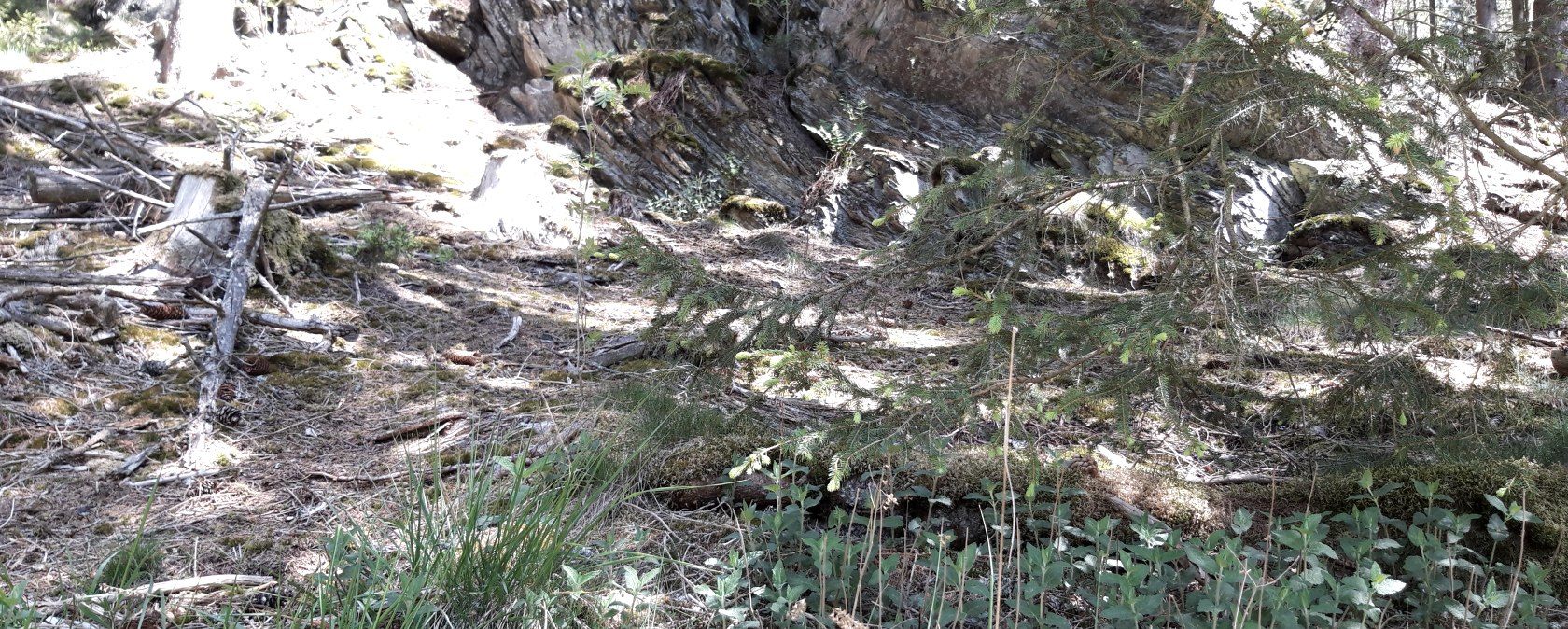 Felsen quer (c) Rureifel Tourismus_BFR, &copy; Rureifel Tourismus GmbH. Barbara Frohnhoff